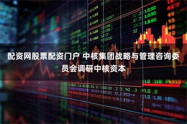 配资网股票配资门户 中核集团战略与管理咨询委员会调研中核资本